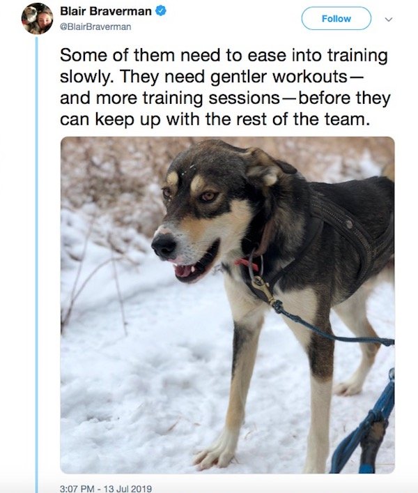 Sled Dogs Have A Lot To Teach About Body Positivity (19 pics)