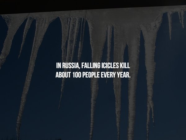 Creepy Facts (15 pics)