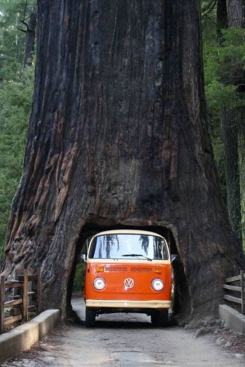 Acid Picdump. Part 1 (102 pics)