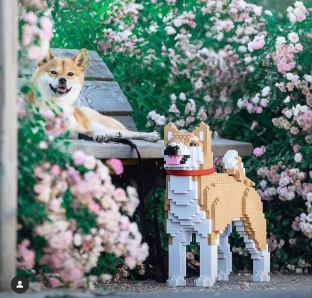Acid Picdump. Part 1 (102 pics)
