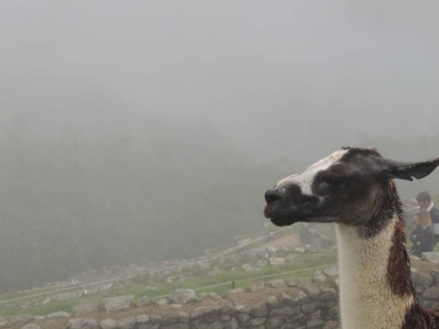 Nice Travel Pics (30 pics)