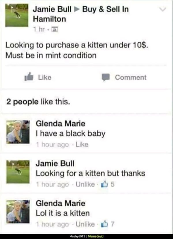 Funny Pictures (23 pics)
