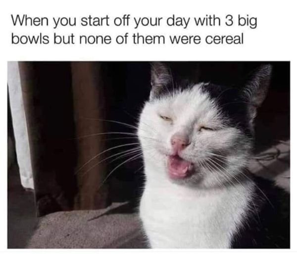 Funny Pictures (23 pics)