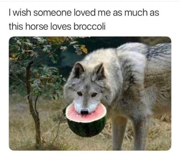 Funny Pictures (23 pics)