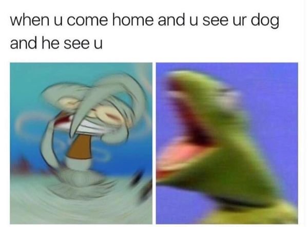 Funny Pictures (23 pics)