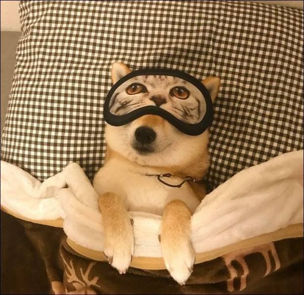 Acid Picdump. Part 2 (106 pics)