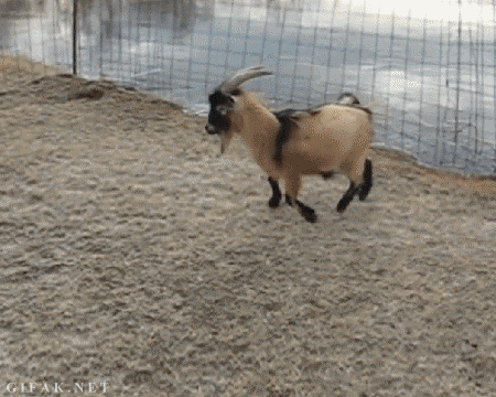 Acid Gifdump, July 22 (25 gifs)