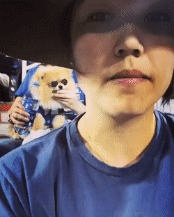 Acid Gifdump, July 22 (25 gifs)