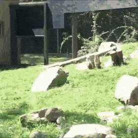 Acid Gifdump, July 22 (25 gifs)