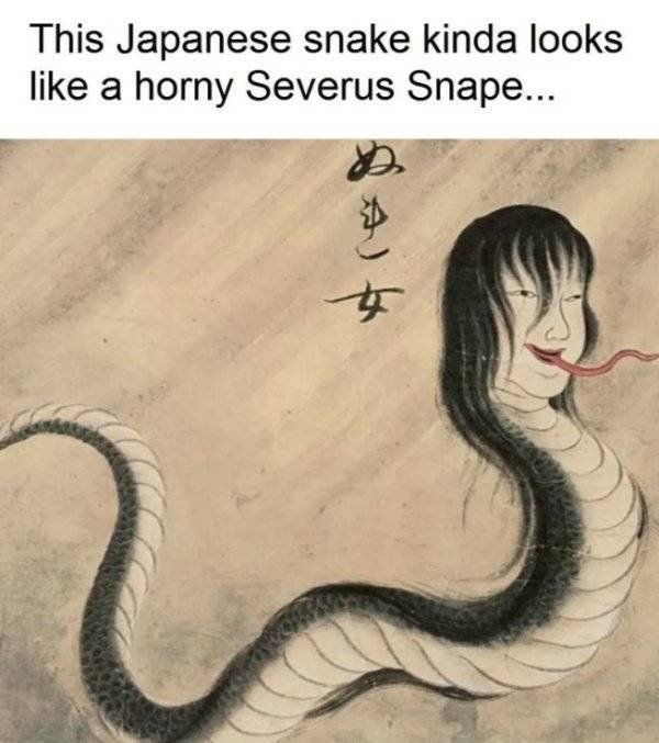 Classical Art Memes (30 pics)