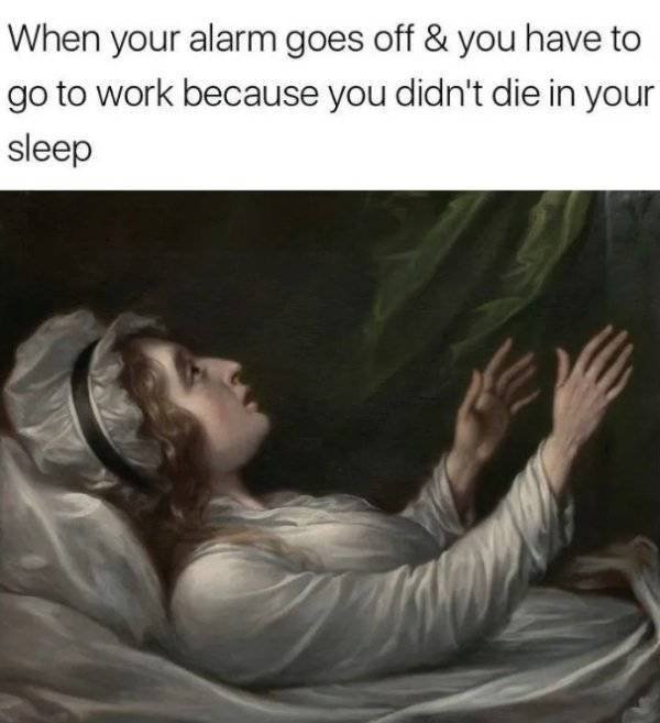 Classical Art Memes (30 pics)