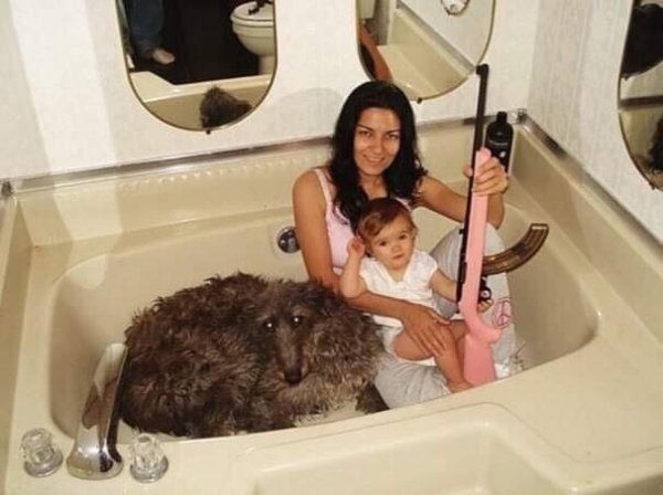 This Picdump Is Scary (36 pics)