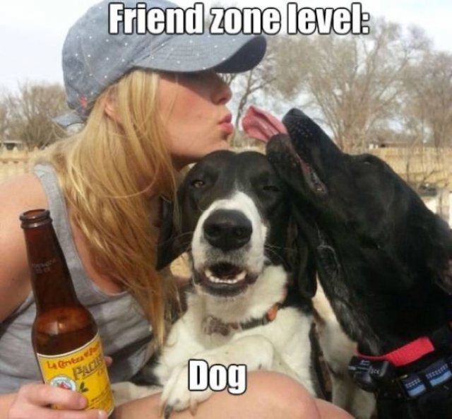 Welcome To Friendzone (26 pics)