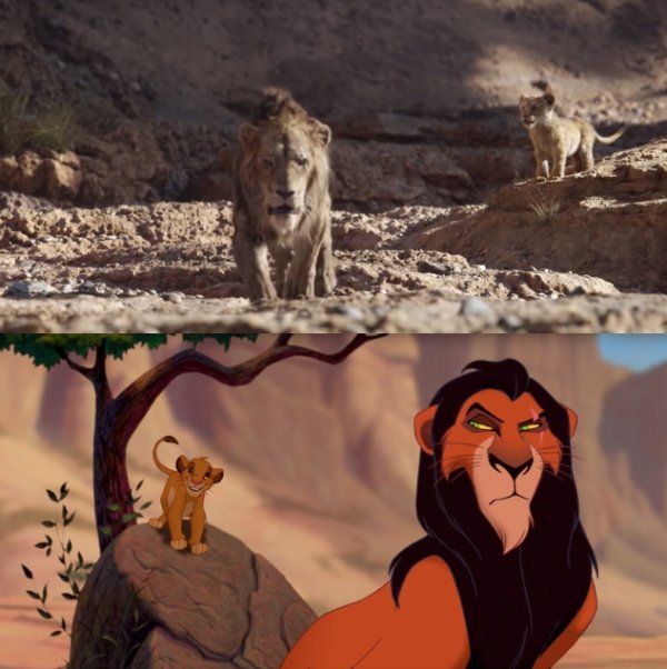 Let's Compare The New Lion King To The Original (24 pics)