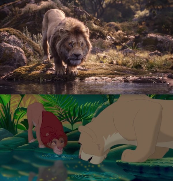 Let's Compare The New Lion King To The Original (24 pics)