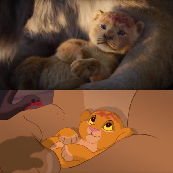 Let's Compare The New Lion King To The Original (24 pics)