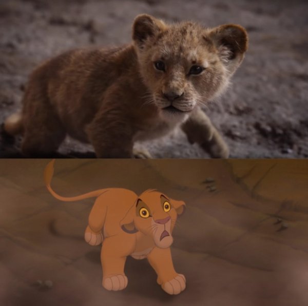 Let's Compare The New Lion King To The Original (24 pics)