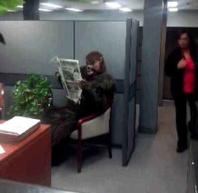 Good Pranks (14 gifs)
