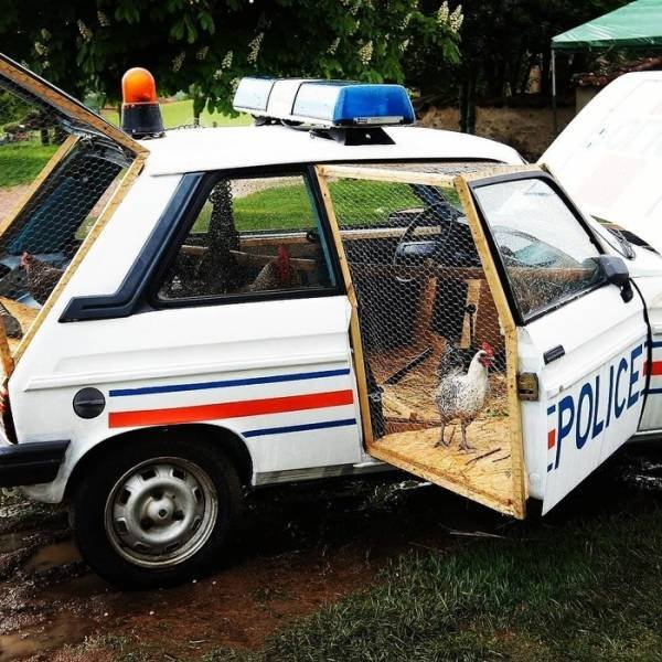 Acid Picdump. Part 1 (99 pics)