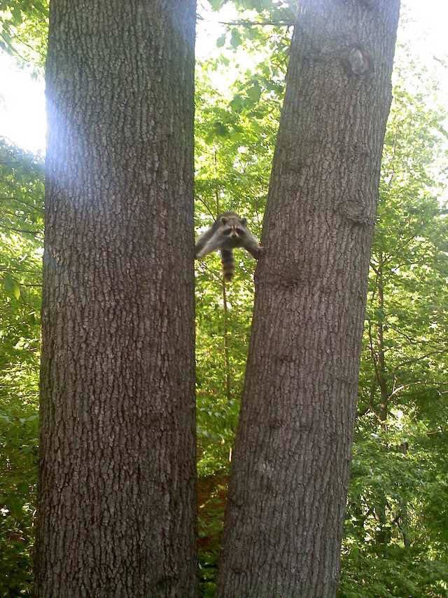 Acid Picdump. Part 1 (99 pics)