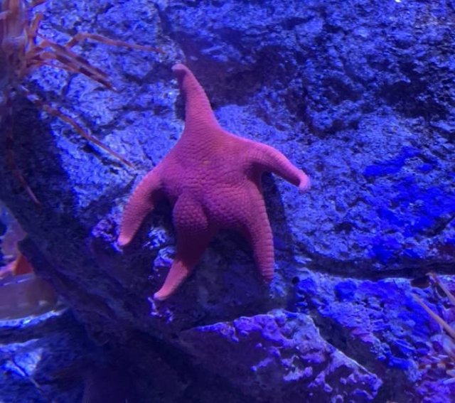 Acid Picdump. Part 1 (99 pics)