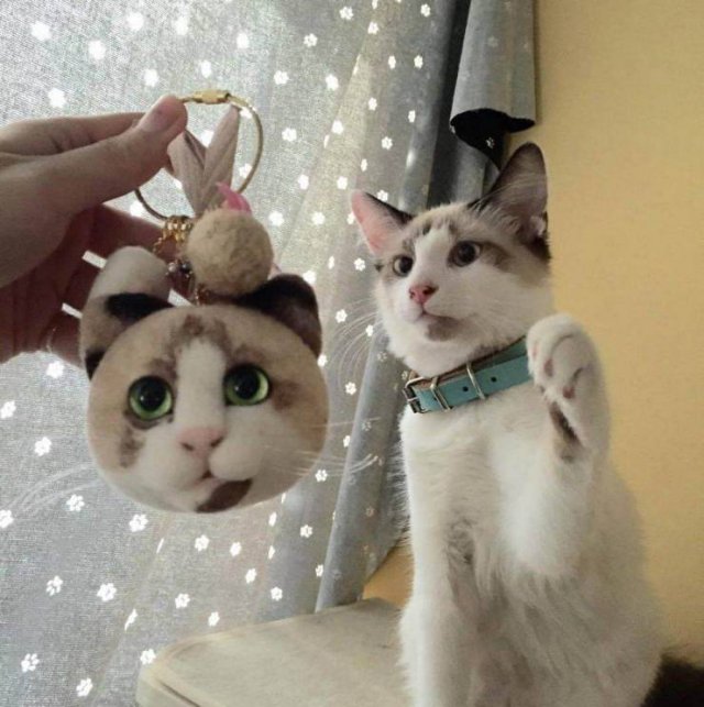Acid Picdump. Part 2 (95 pics)