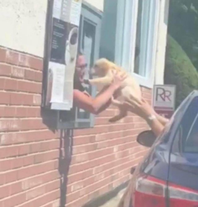 Acid Picdump. Part 2 (95 pics)