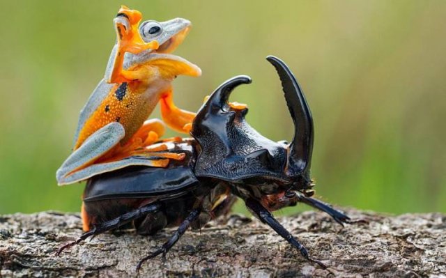Acid Picdump. Part 2 (95 pics)