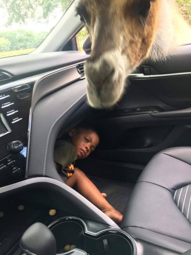 Acid Picdump. Part 2 (95 pics)