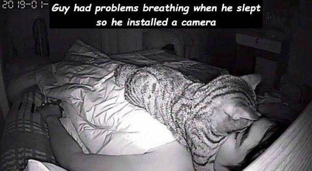 Acid Picdump. Part 2 (95 pics)