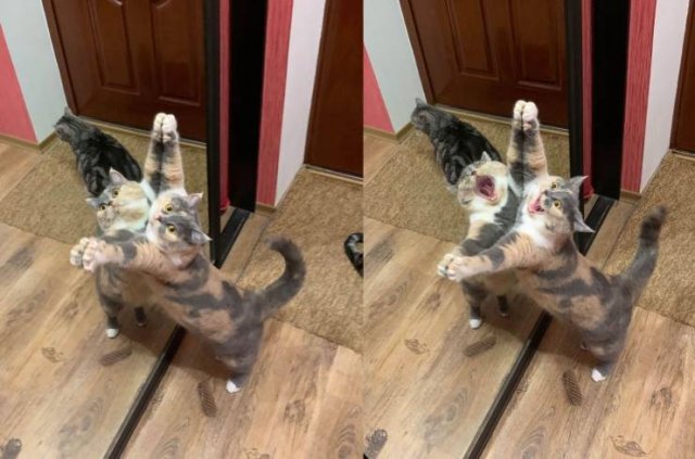 Acid Picdump. Part 2 (95 pics)
