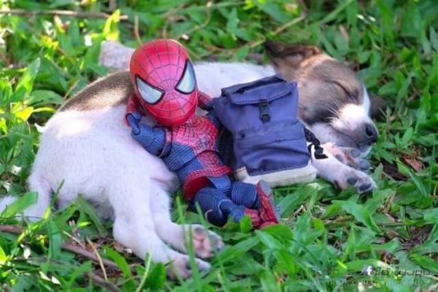 Acid Picdump. Part 2 (95 pics)