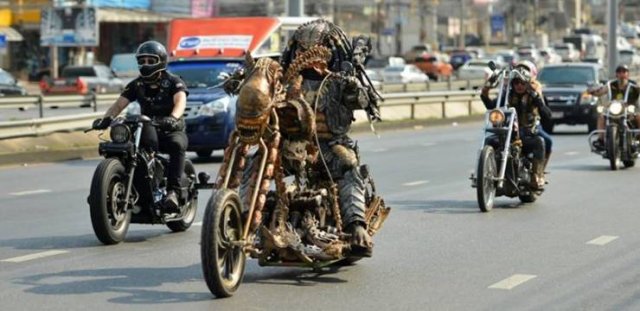 There Is An Actual Predator Living In Thailand (7 pics)