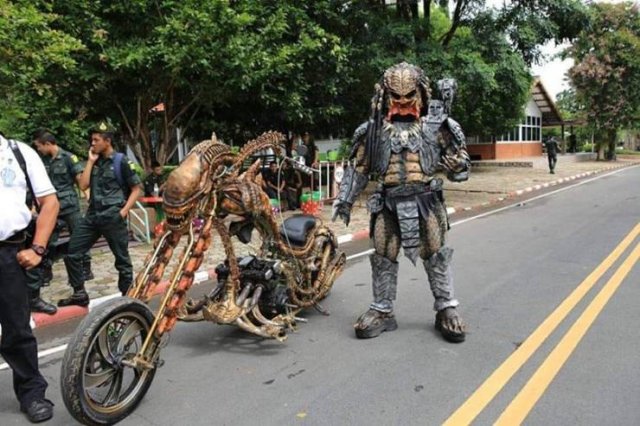 There Is An Actual Predator Living In Thailand (7 pics)