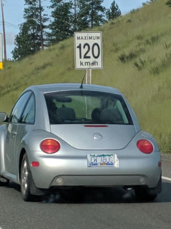 Welcome To Canada (30 pics)