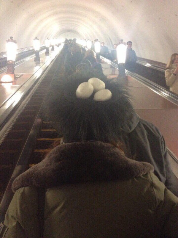 WTF Photos (29 pics)
