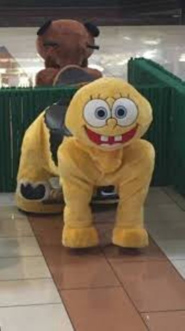 WTF Photos (29 pics)