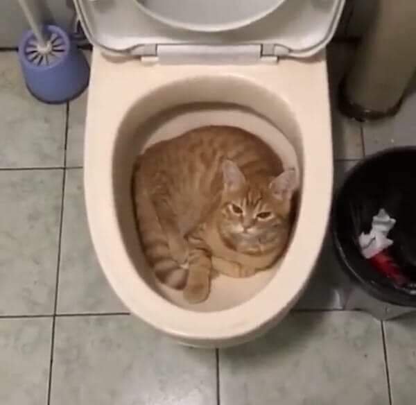 WTF Photos (29 pics)