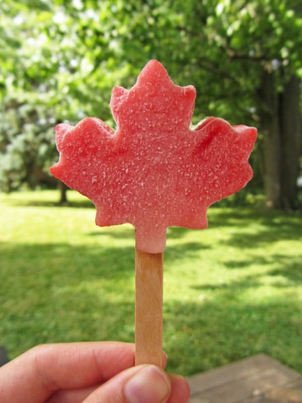 Welcome To Canada (30 pics)