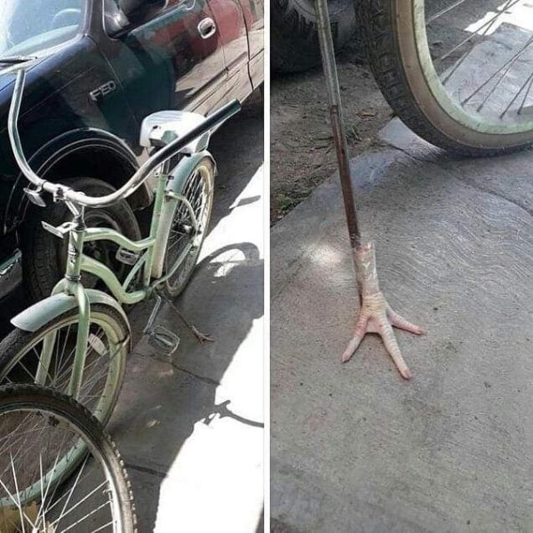 WTF Photos (29 pics)