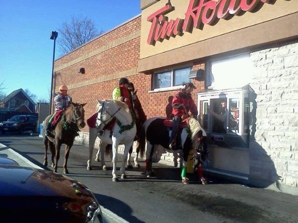 Welcome To Canada (30 pics)