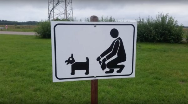 WTF Photos (29 pics)