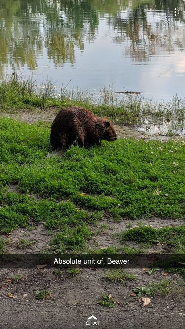 Welcome To Canada (30 pics)