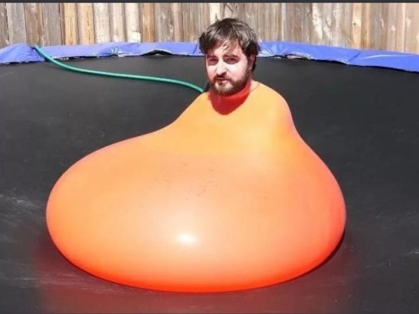 WTF Photos (29 pics)