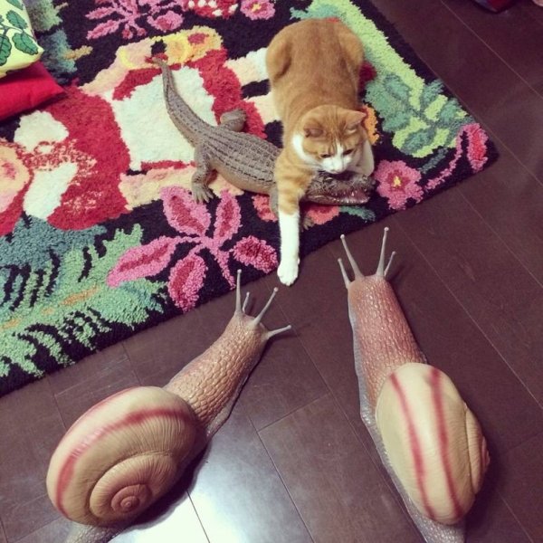 WTF Photos (29 pics)