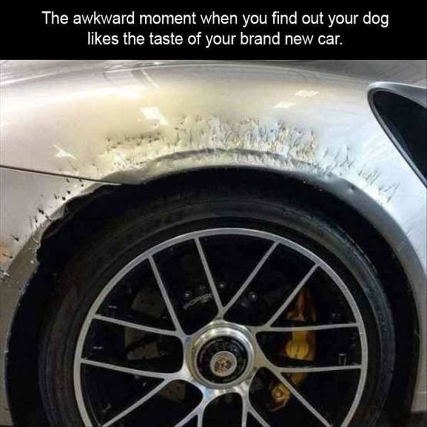 Acid Picdump. Part 1 (103 pics)
