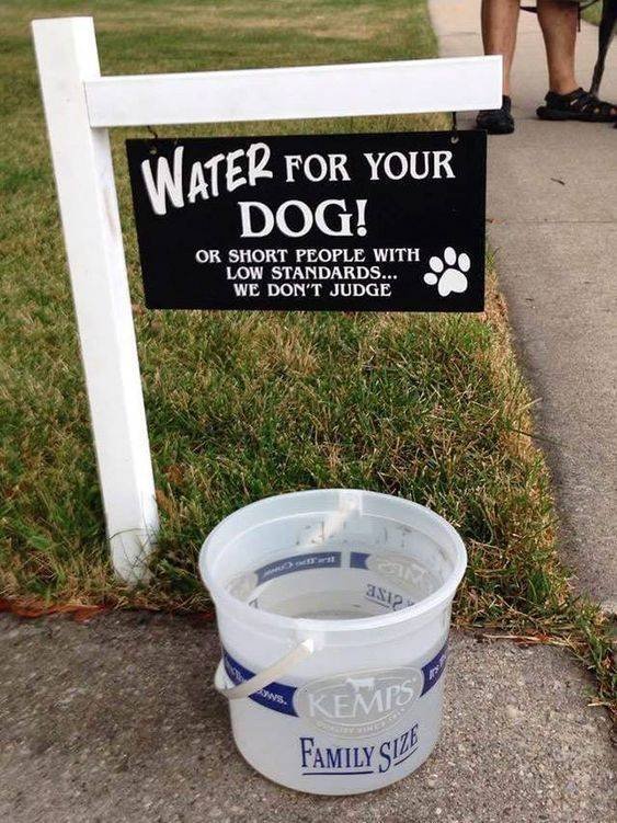 Acid Picdump. Part 1 (103 pics)