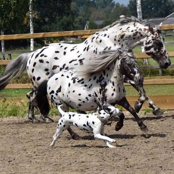 Acid Picdump. Part 2 (95 pics)
