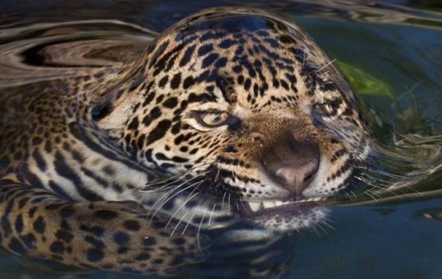 Acid Picdump. Part 2 (95 pics)