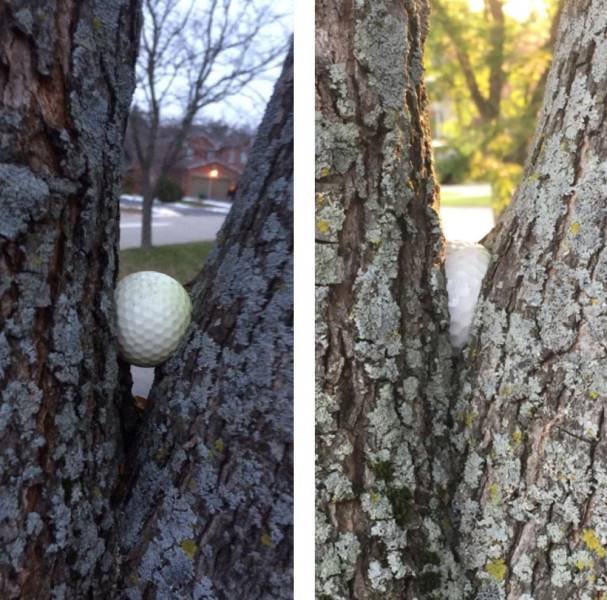 Acid Picdump. Part 2 (95 pics)